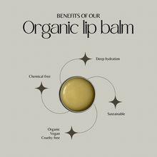 Load image into Gallery viewer, Organic lip balm