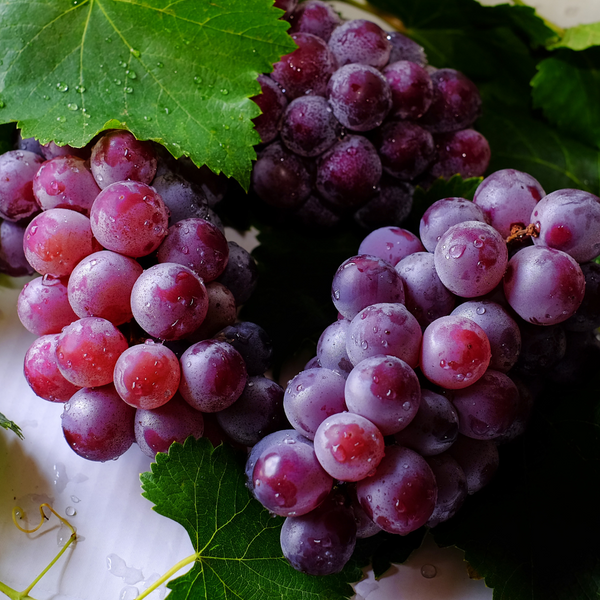 The Incredible Benefits of Grape Seed Oil for Your Skin.
